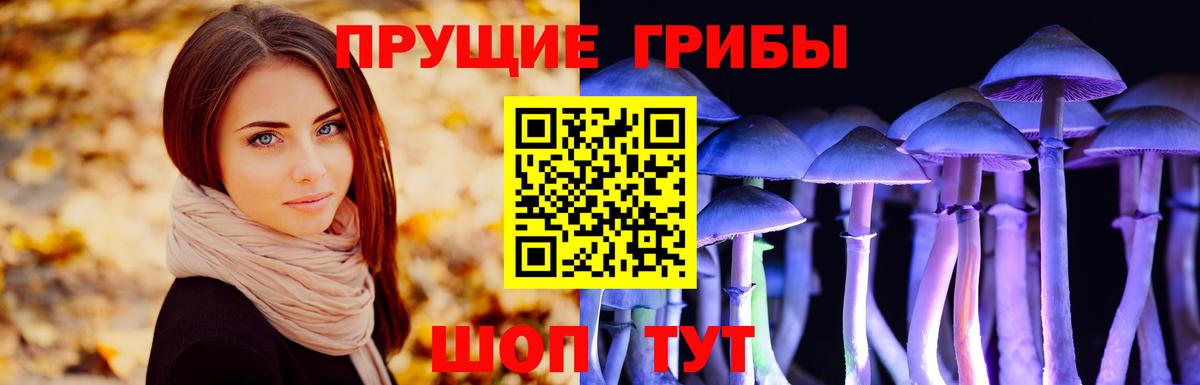 Псилоцибиновые грибы Psilocybine cubensis Саранск