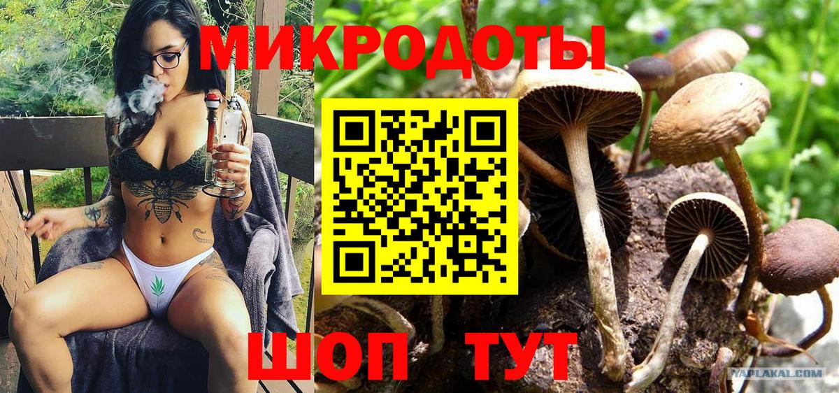 Галлюциногенные грибы Cubensis  Галлюциногенные грибы мицелий  Саранск  Вход с VPN 